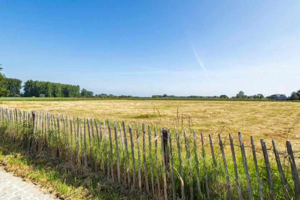 Burgemeestershof Wetteren Kültér fotó